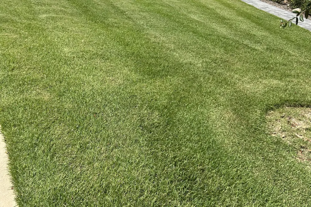 Tidy, edged front yard and driveway after a cleanup in Freeport