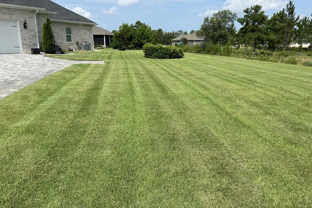 Well-kept lawn and shrubs beside a brick home