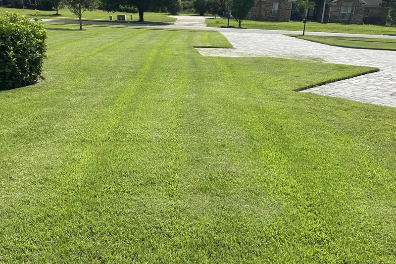 Neighborhood lawn with an American flag in the distance